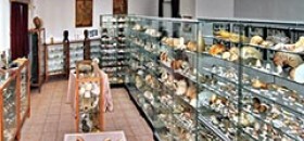 Museo Malacologico di Campofilone