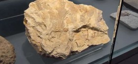 Collezioni Paleontologiche e Sedimentologiche