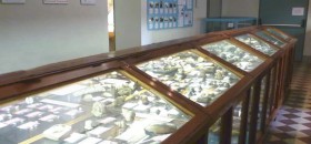 Museo dei Fossili dello Stirone