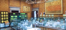 Museo Paleontologico “M. Gortani”