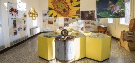 Museo del Miele Ca’ Cappellino