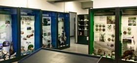 Museo di Scienze Naturali di Voghera