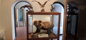 Museo dell'Orso