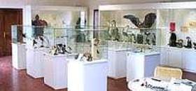 Museo dell'Ecologia di Cesena