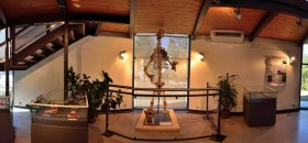 Museo Speleologico di Grotta Gigante