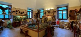 Museo Naturalistico Missionario della Certosa