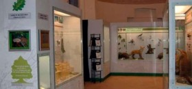 Museo di Ecologia “Mirco Bravaccini