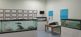 Museo della Pesca di Silea