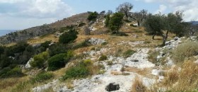 Necropoli del Monte Saraceno