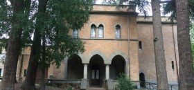 Villa Strohl Fern