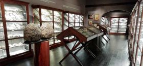 Museo Giuseppe Scarabelli