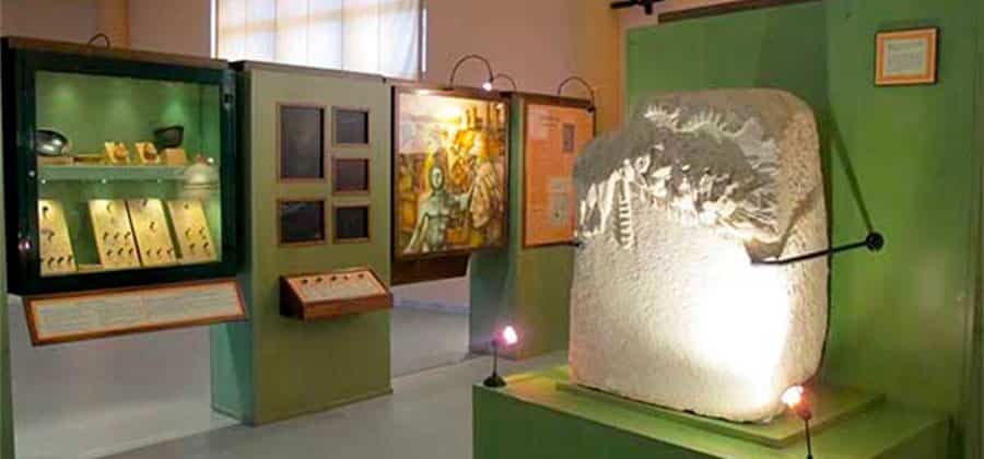 Museo Naturalistico Archeologico "Maurizio Locati"