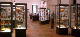 Museo Archeologico della Lucania Occidentale