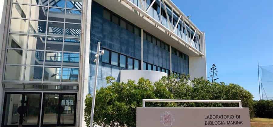 DIDAMAR - Fano Marine Center