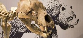 Museo di Archeologia e Paleontologia "Carlo Conti"