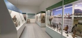 Museo Ornitologico "Luigi Scanagatta"