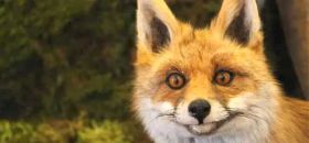 Museo della Fauna Alpina