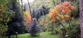 Orto Botanico di Ome