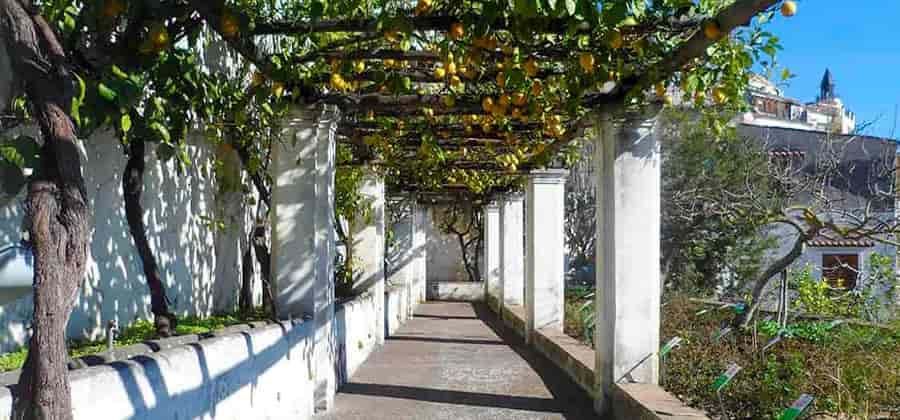 Giardino della Minerva