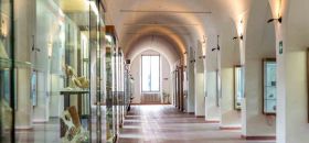 Museo Archeologico Nazionale “Domenico Ridola”
