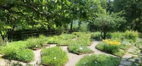 Orto Botanico Pier Carlo Bussi