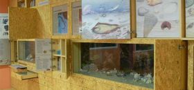 Museo Paleontologico "Silvio Lai"