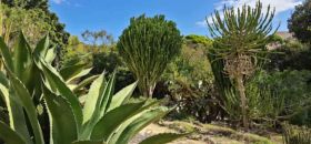 Orto Botanico di Cagliari