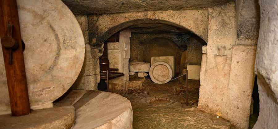 Museo dell'Olio "Molo"