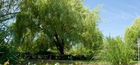 Orto Botanico "Ulisse Aldrovandi"