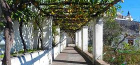 Giardino della Minerva