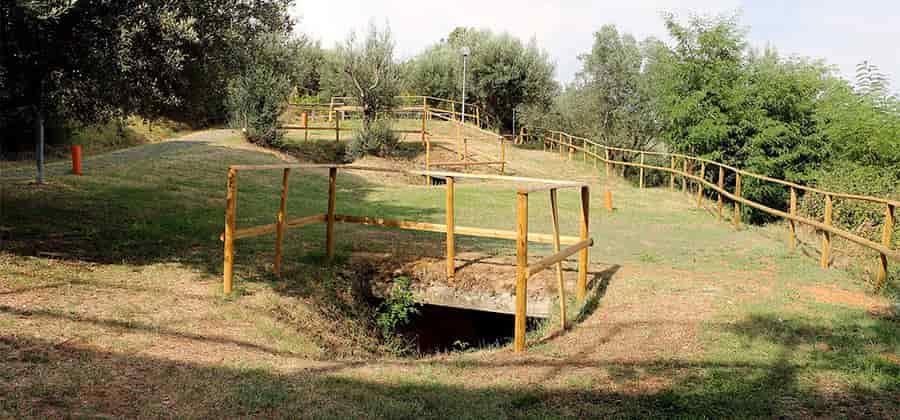 Necropoli del Palazzone