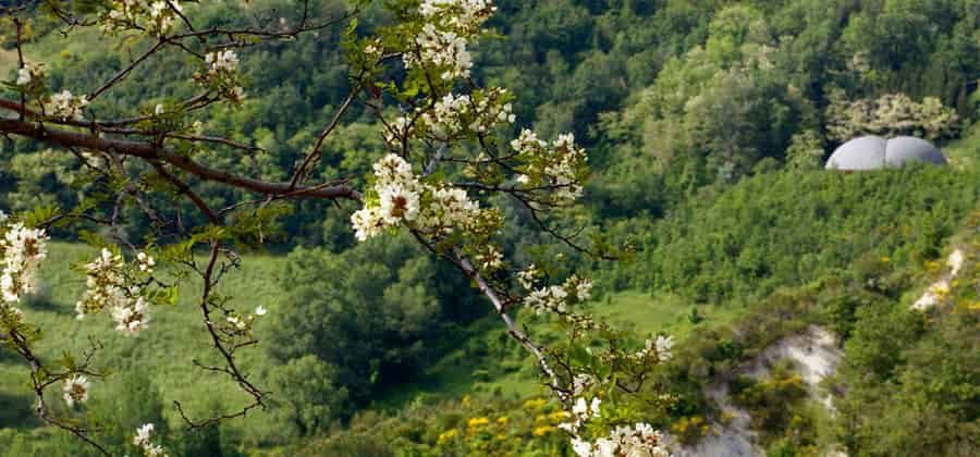 Arboreto di Mondaino