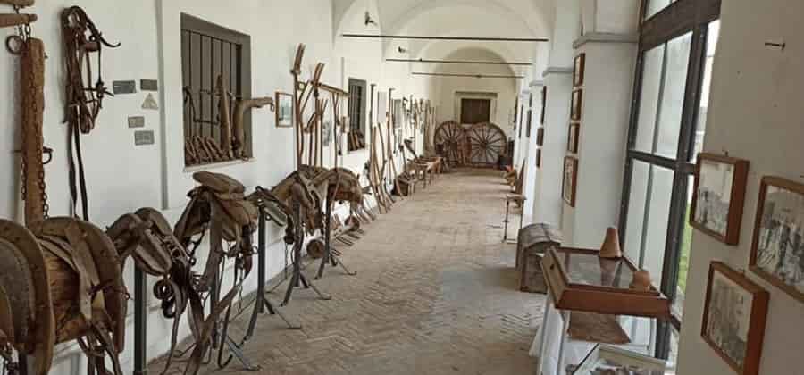 Museo Civico di Cerchio