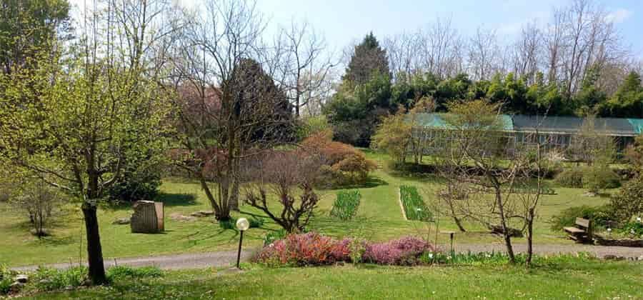 Giardino Botanico Rea