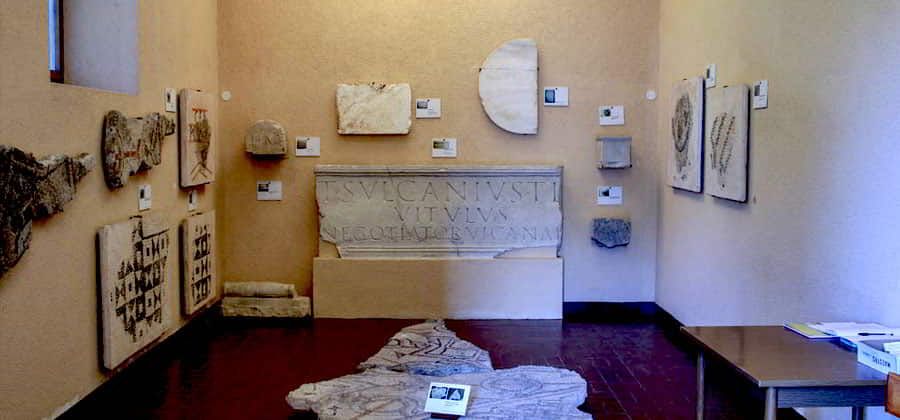 Antiquarium Cansianensis