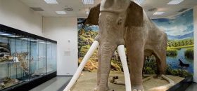 Museo Archeologico del Territorio Toleriense