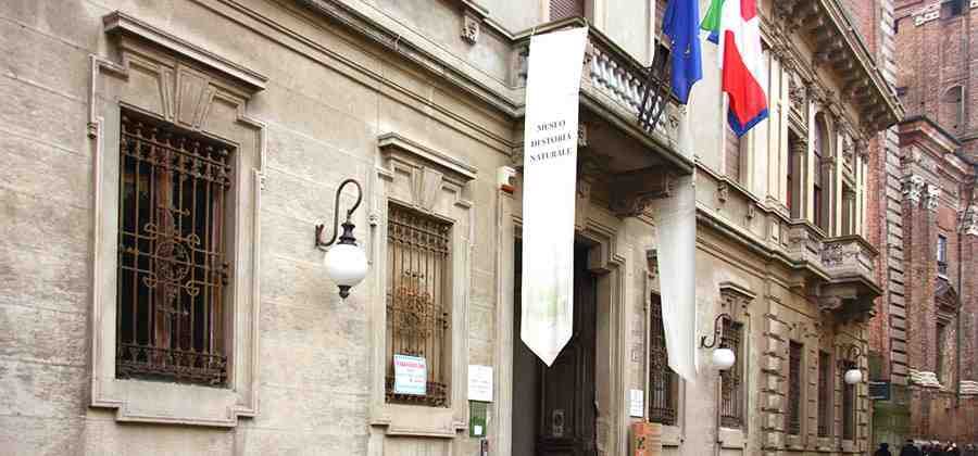 Museo di Storia Naturale "F. Ferrandi"
