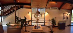 Museo Speleologico di Grotta Gigante