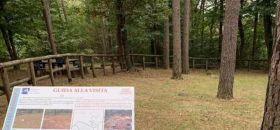 Area Archeologica Monsorino di Golasecca