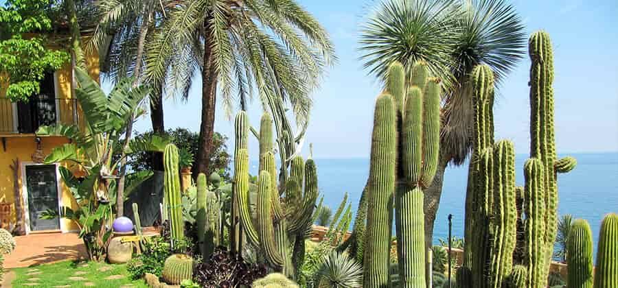 Giardino Esotico Pallanca
