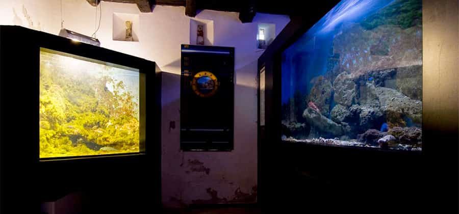 Museo Vivo del Mare