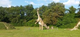 Parco Dinosauri le Pietre del Drago